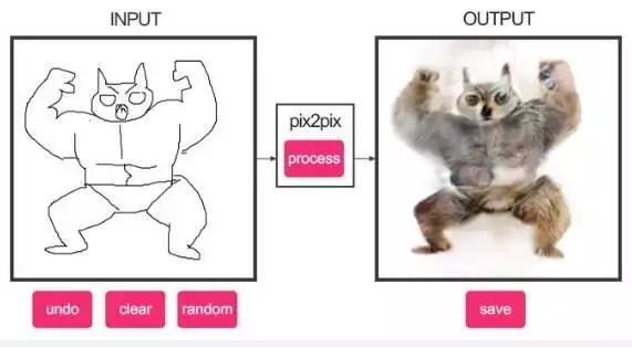 年轻人，想不想亲自去拍个猫片呀！