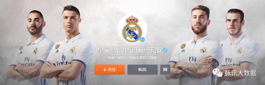 脉讯,脉讯大数据