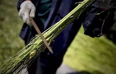 这些汉字长得太像，难道进过整形医院吗？