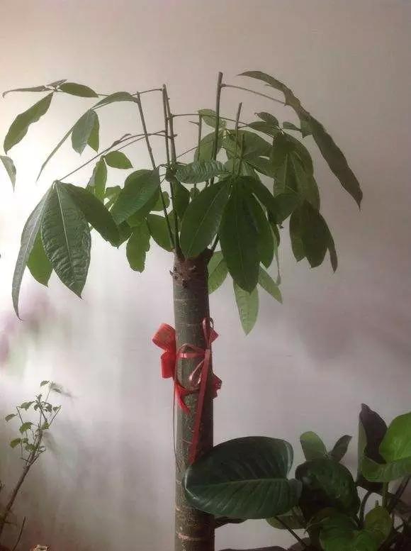 做好这几点让你少生病,做好这几件事能少吃很多亏