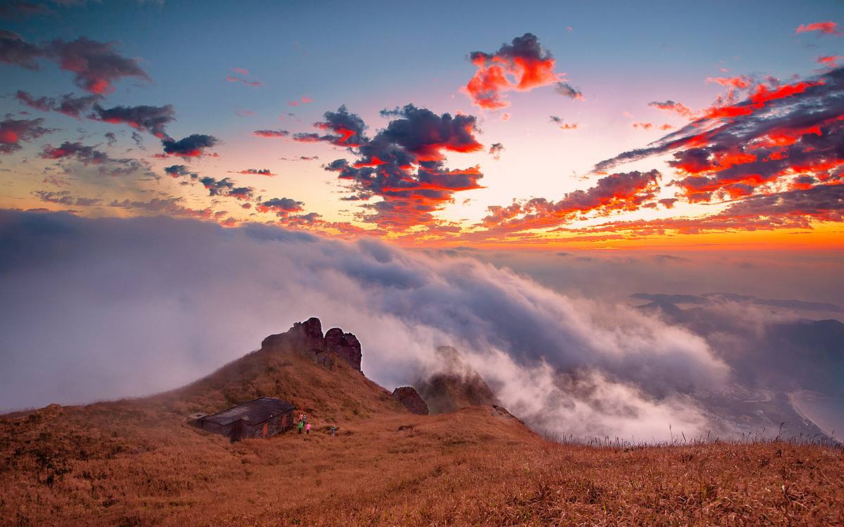 除了代购专柜还有什么渠道,除了代购哪个免税店可以直邮