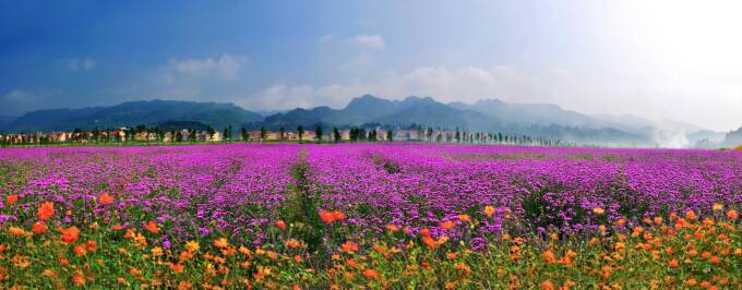茶马古道丽水金沙,盐茶古道日照
