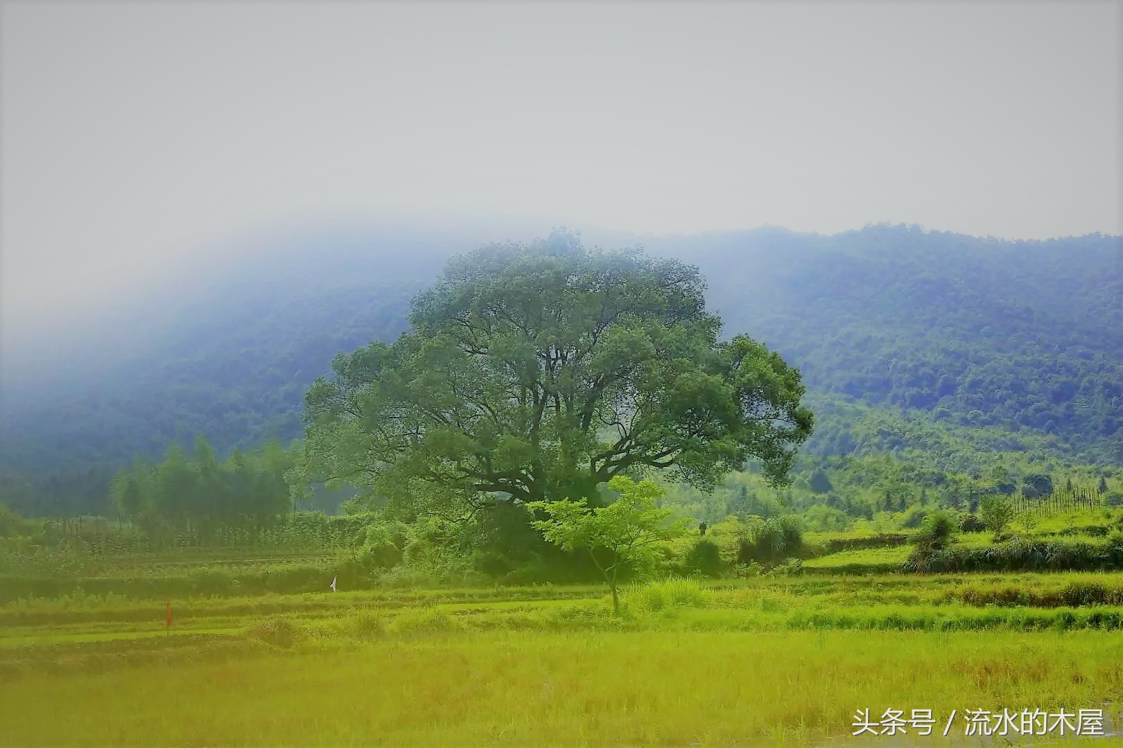 德兴黄柏最新消息,德兴黄柏火灾新闻