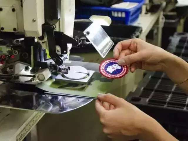 万人迷“加拿大鹅”要上市，揭秘凭什么这些老树能开花