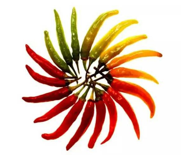 你为什么一直长痘痘呢？你也许轻忽了这些