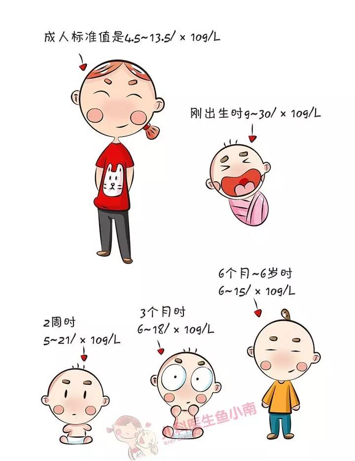 小孩感冒发烧血常规报告怎么看,宝宝发烧血常规怎么看结果