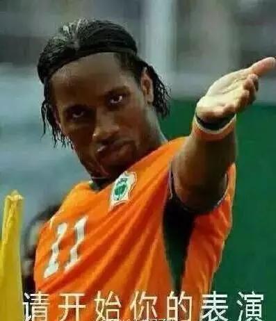 年轻人，想不想亲自去拍个猫片呀！