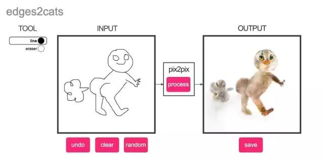 年轻人，想不想亲自去拍个猫片呀！