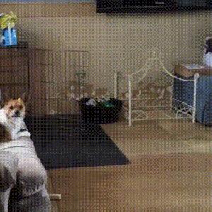 刘烨诺一破门,诺一刘烨扮老