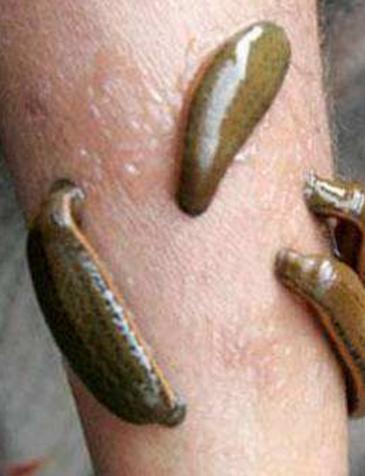 喜欢野外探险的人,喜欢户外探索的小伙伴