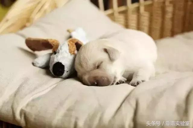 什么椅子会导致颈椎病 (家用按摩椅缓解颈椎病肩周炎)