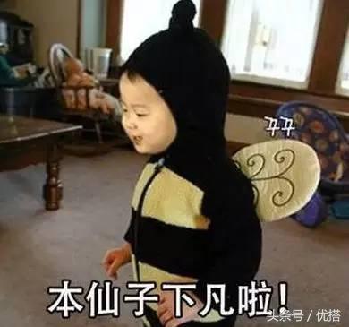 四海八荒中的小仙女,四海八荒的仙女