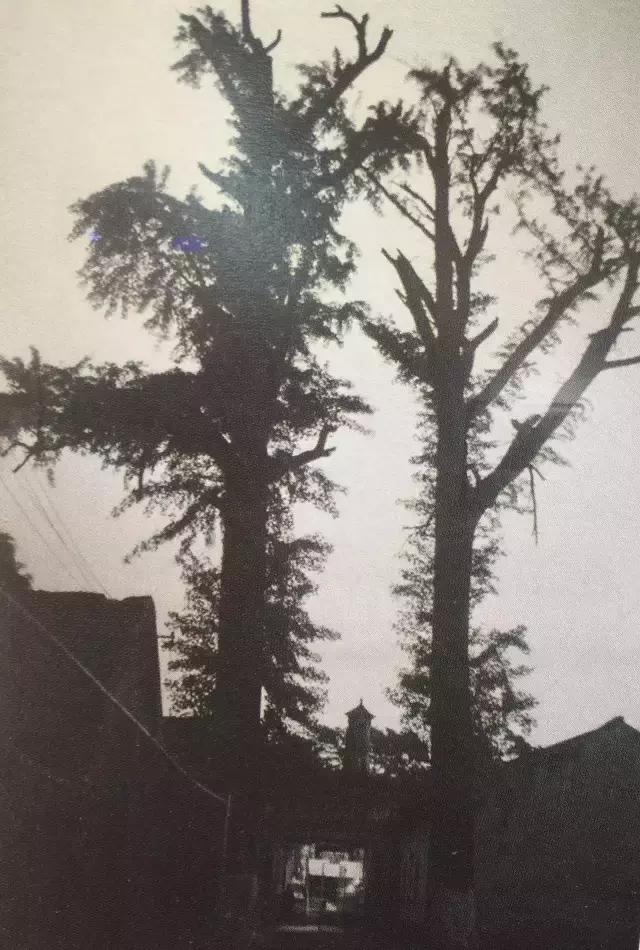 80年代一张老照片的回忆,值得珍藏的40张老照片