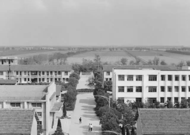 80年代一张老照片的回忆,值得珍藏的40张老照片