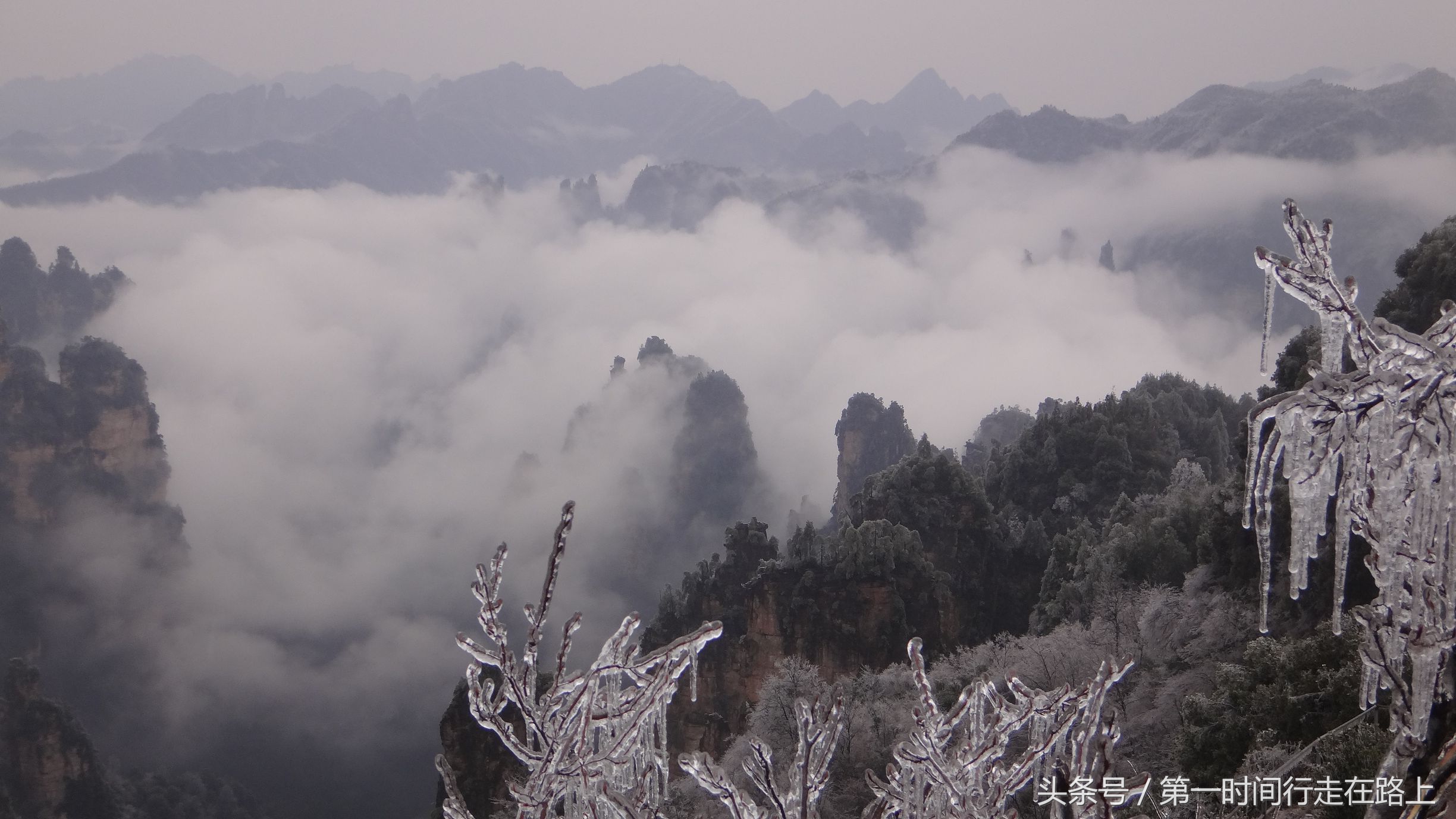 张家界浪漫之地,张家界最浪漫的婚纱