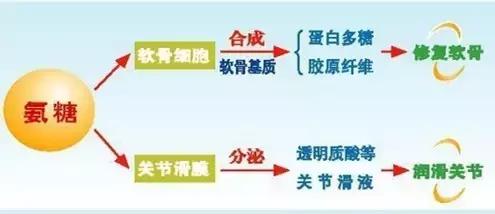 30岁之后关节会快速退化，有这6个习惯的人一定要谨慎！