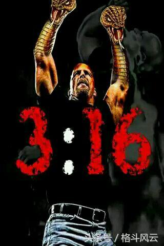 wwe摔角狂热大赛布洛克莱斯纳大狗,wwe重量级冠军猛兽布洛克莱斯纳