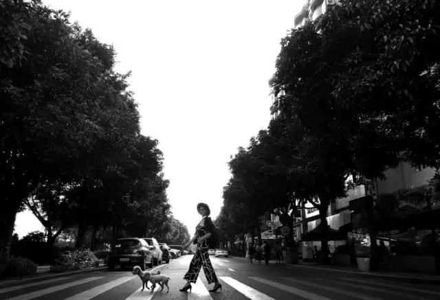 待我银发飘飘也要优雅到老图片,就算银发飘飘也要潇洒到老