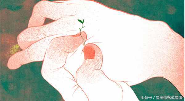 12星座一点就炸的雷区,12星座最不容易被坑的星座