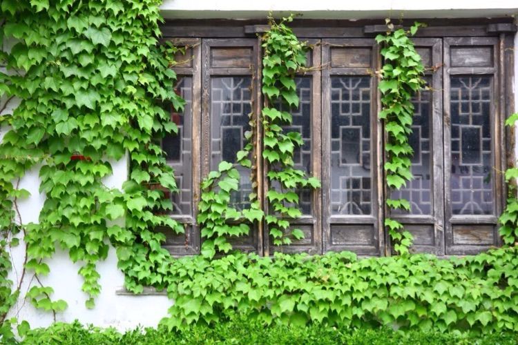 江南水弄堂，运河绝版地——无锡南长街