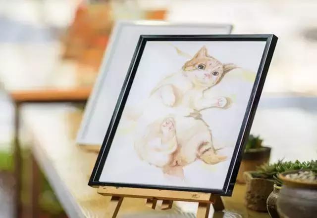 合肥可以diy的店铺,合肥DIY店有吗