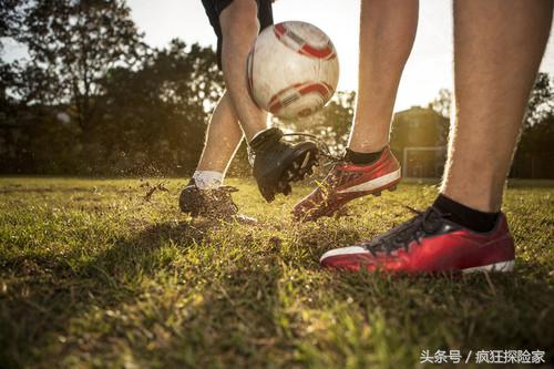 来感受一下世界第一大格斗运动,来一场运动