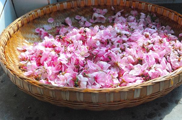 自己学酿纯粮食酒,自己学调酒好学吗