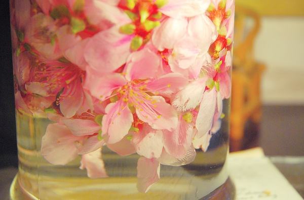 自己学酿纯粮食酒,自己学调酒好学吗