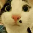 这里有一个坐银魂时光机的机会，可以看看去年的你