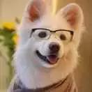 这里有一个坐银魂时光机的机会，可以看看去年的你