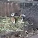 这里有一个坐银魂时光机的机会，可以看看去年的你