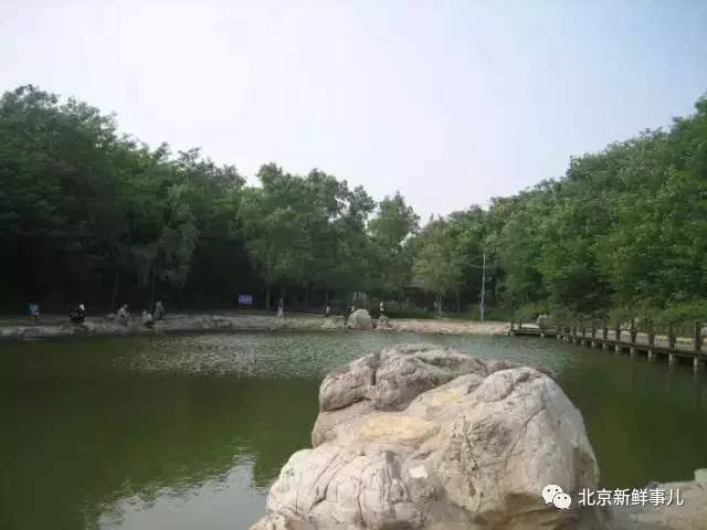 北京最美赏花公园在哪,北京赏花公园景点推荐