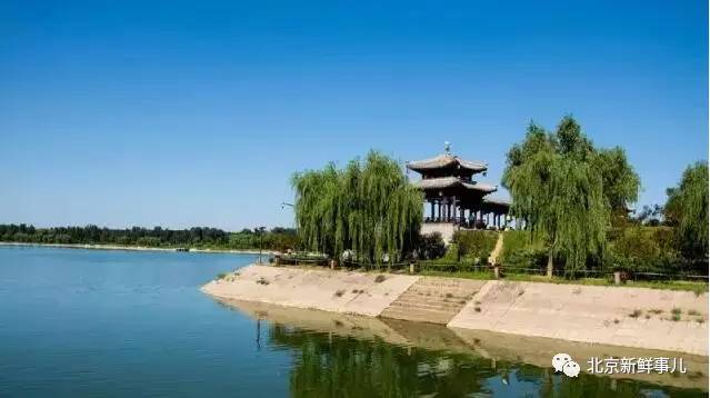 北京最美赏花公园在哪,北京赏花公园景点推荐