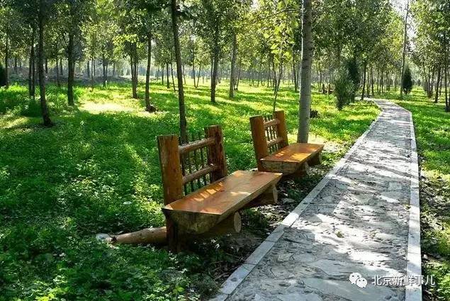 北京最美赏花公园在哪,北京赏花公园景点推荐