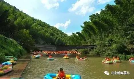 北京最美赏花公园在哪,北京赏花公园景点推荐
