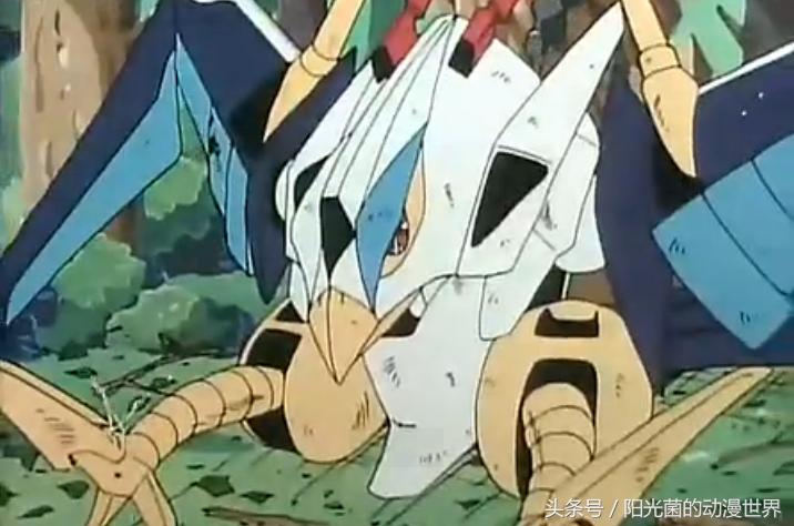 神龙斗士的全名,神龙斗士都有什么号