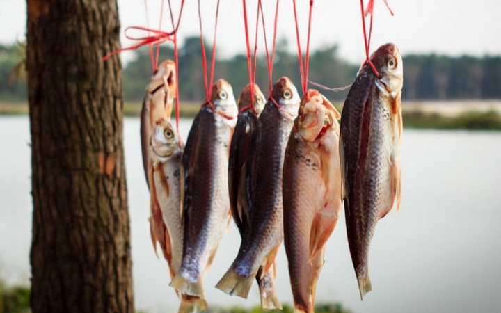 已经蒸出来的咸鱼太咸了怎么办,咸鱼怎样做不柴而且好吃