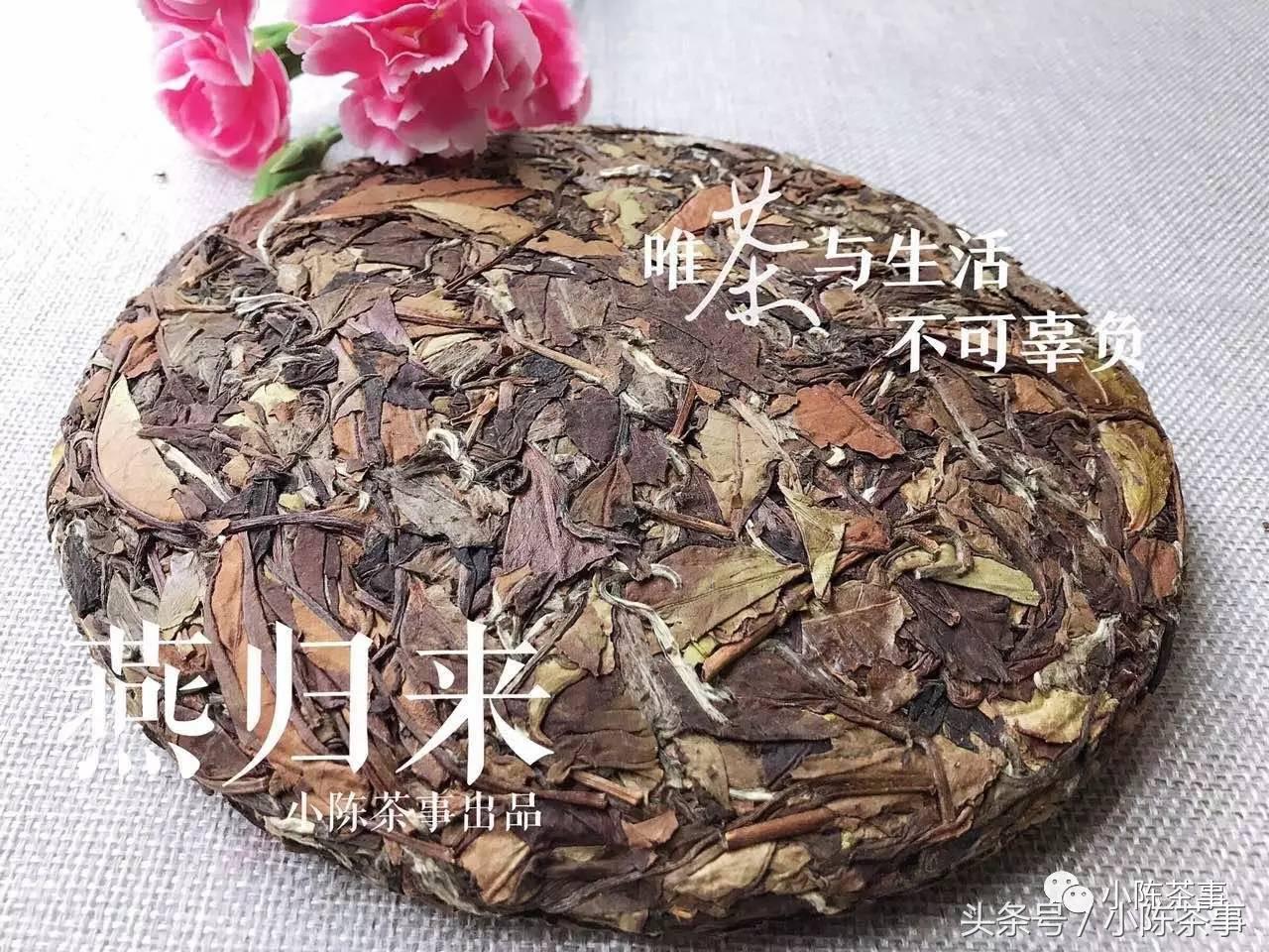 痛风患者科学饮食调理书,痛风患者喝什么茶