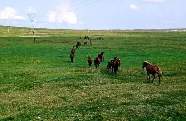 去哈尔滨可以逛哪几个国家,哈尔滨能坐火车出国游
