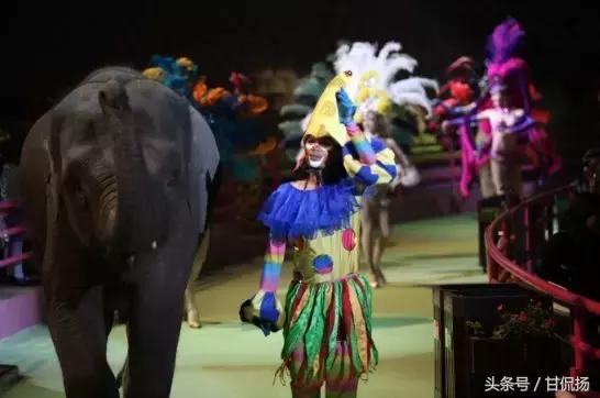 广州长隆国际马戏城游玩攻略,长隆动物世界马戏票