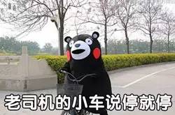 「热点聚焦」“以租代购”买带牌新车？谨慎被套路！