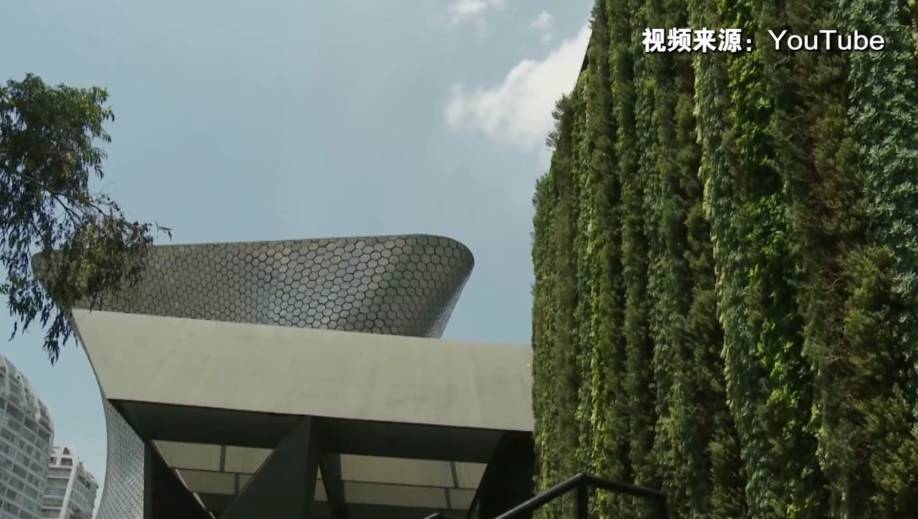 这份为了杭州的“垂直绿化”倡议书，请您查收！