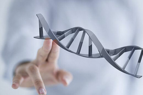 贝瑞和康基因重组,贝瑞和康子公司