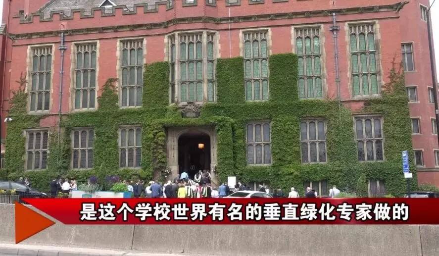 这份为了杭州的“垂直绿化”倡议书，请您查收！