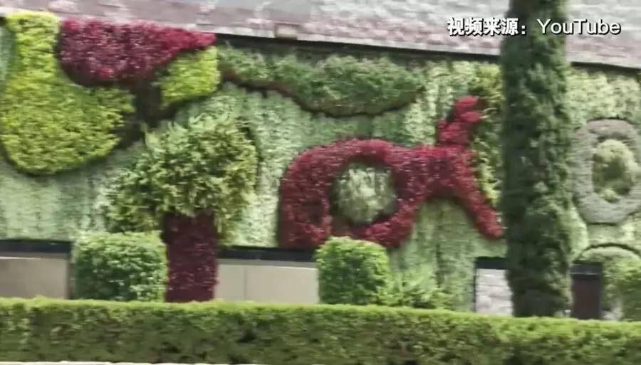 这份为了杭州的“垂直绿化”倡议书，请您查收！