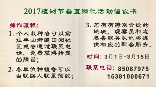这份为了杭州的“垂直绿化”倡议书，请您查收！