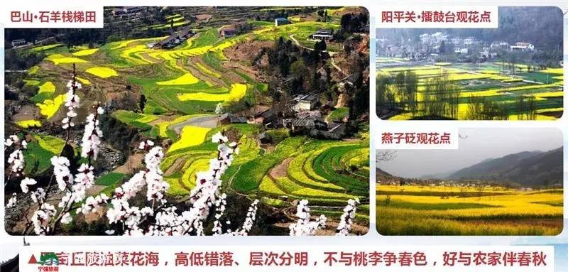 宁强油菜花基地,宁强油菜花自驾旅游线路