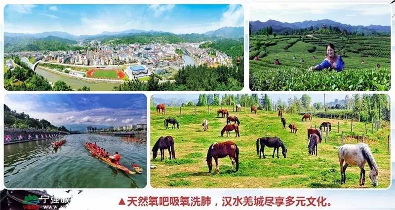 宁强油菜花基地,宁强油菜花自驾旅游线路