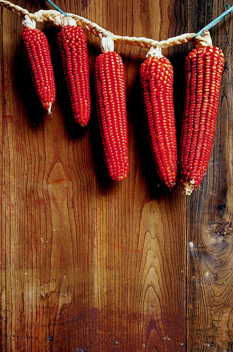 贵州天龙屯堡,明朝贵州天龙屯堡