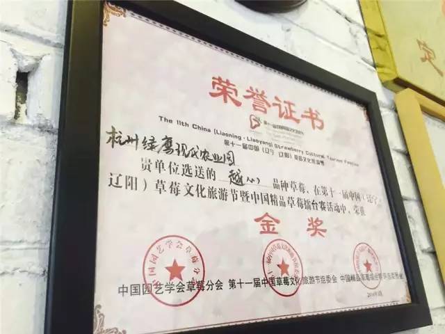 余杭最好吃的草莓,全国精品草莓金奖